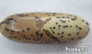 千眼菩提怎么变绿 千眼菩提怎么变绿颜色