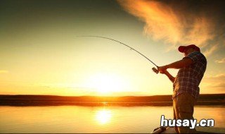 冬季钓大鲫最好饵料 冬季钓大鲫鱼用什么饵料最好