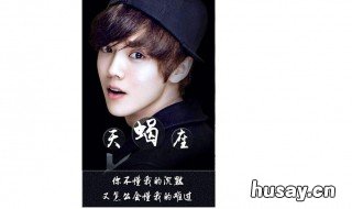 天蝎男喜欢什么样的女生 事业型天蝎男喜欢什么样的女生