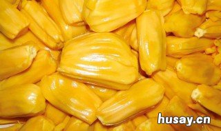 菠萝蜜食用方法 菠萝菠萝蜜的吃法