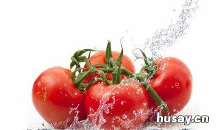 番茄视频app怎么下载ios 番茄视频APP免费要下载