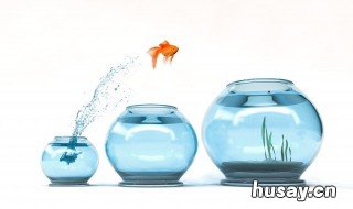 特斯拉鲶鱼效应 特斯拉,鲶鱼长成鲨鱼