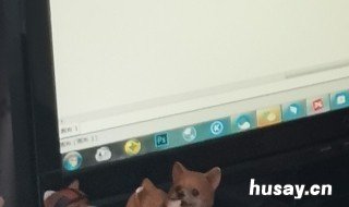 台式电脑的麦克风在哪里打开 台式机的麦克风在哪