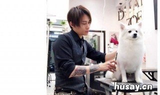 如何管理宠物美容店 宠物店怎么管理