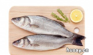 怎么才能钓到大鱼 怎么才能钓到大鱼用用蚯蚓