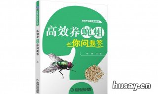 最新蝇蛆养殖法 蛆的养殖方法