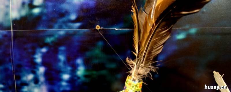 珙县特色文化 珙县历史文化