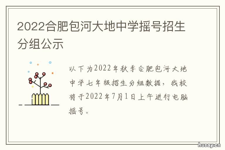 2022合肥包河大地中学摇号招生分组公示 合肥包河大地中学2019七年级新生