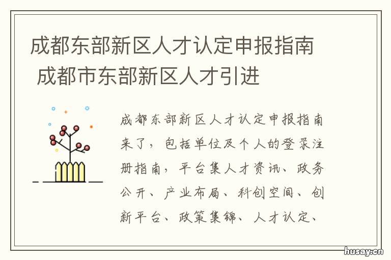 成都东部新区人才认定申报指南 成都东部新区人才认定 d类