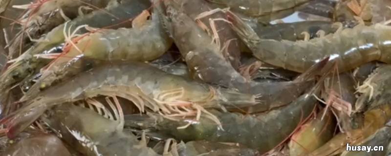 大虾40-50规格是什么意思 大虾规格40/50是啥意思