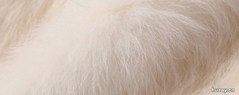 托斯卡纳羊毛是什么毛 托斯卡纳羊毛是真毛吗