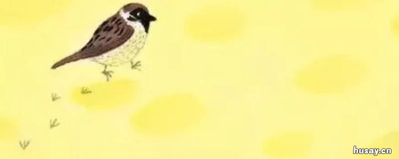 麻雀的脚印像什么 孔雀的脚印像什么形状图片