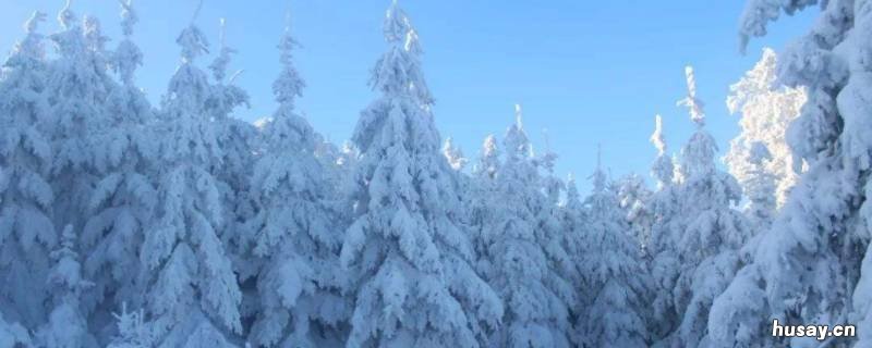 阵雪大还是小雪大 小雪和雨夹雪谁大