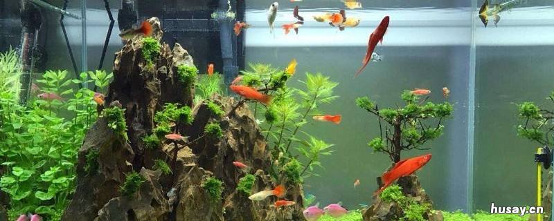 鱼缸出水口在水面下还是水面上 鱼缸出水管在水面还是水下