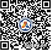 广州职工养老保险缴费查询在广东人社APP怎么弄? 广州社保养老保险