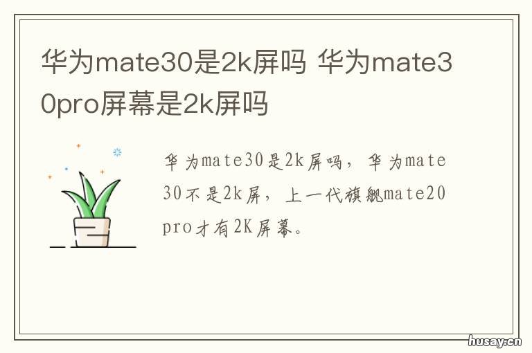 华为mate30是2k屏吗
