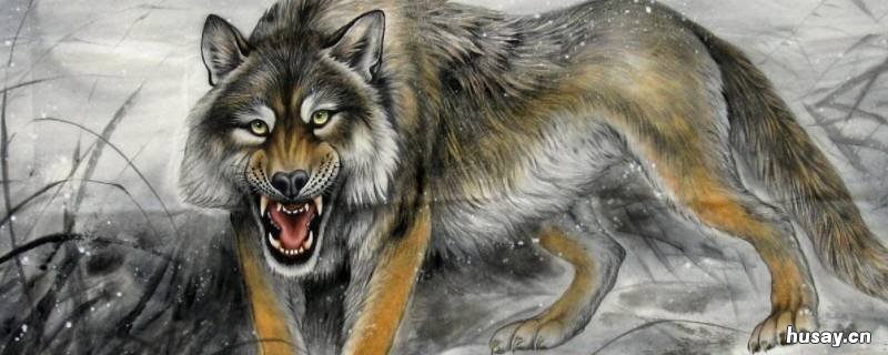 走兽后面是什么 地上的走兽都是什么