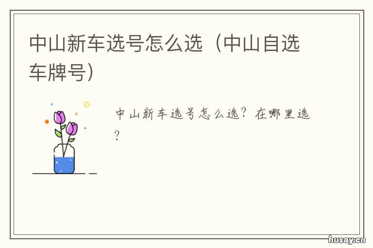 中山新车选号怎么选 中山新车选号有20个自编及5次随机