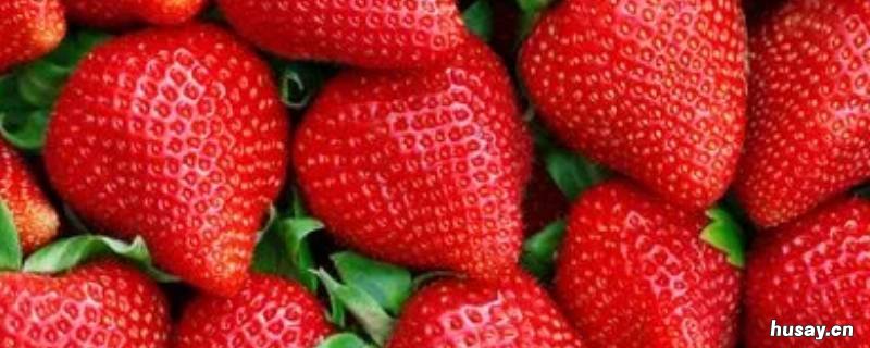 草莓蛋糕的寓意是什么 草莓蛋糕的寓意是什么呢