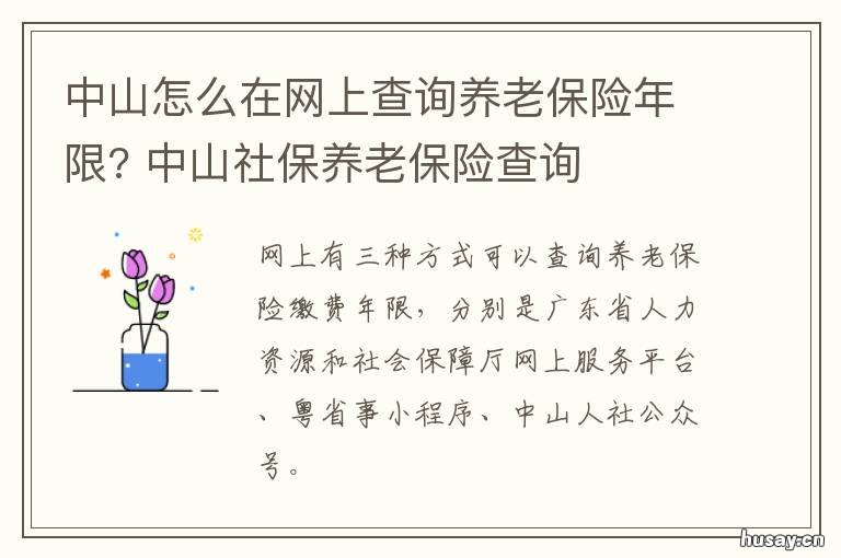 中山怎么在网上查询养老保险年限?