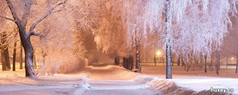 冬天是什么样的 冬天是什么样的景色