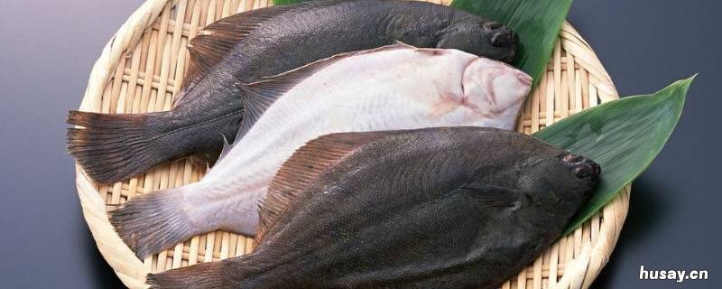 鸦片鱼怎么处理内脏 鸦片鱼怎么处理内脏图解