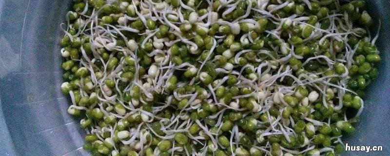 生绿豆芽大头了咋办 发绿豆芽总是红头怎么办
