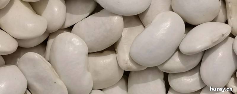 白芸豆是什么植物的种子 白芸豆的植物长什么样