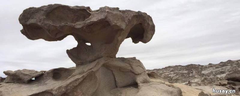 风蚀蘑菇是风化作用吗 风蚀蘑菇是哪种类型的风蚀作用