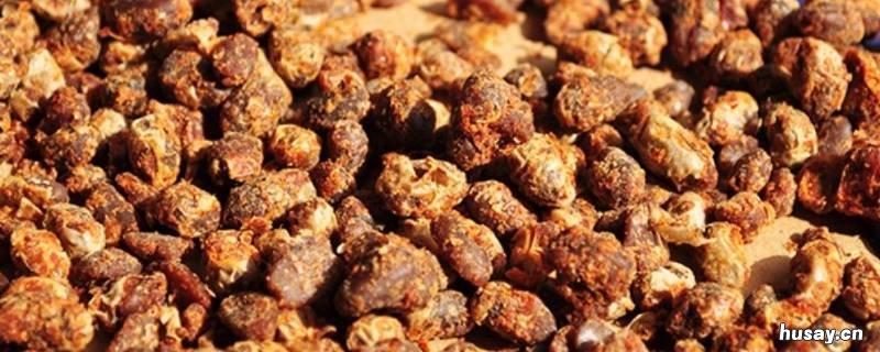 农村冬天捂臭豆子是怎样捂的 捂臭豆子必须发臭吗?