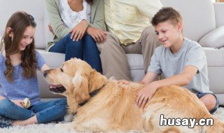 初中生叛逆期沉迷手机 初中生叛逆期沉迷手机警察110管吗