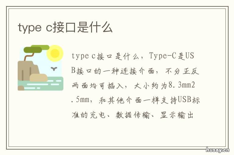 type type-c怎么读