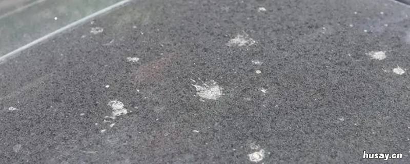 为什么太阳晒过的水渍擦不掉 太阳晒油渍