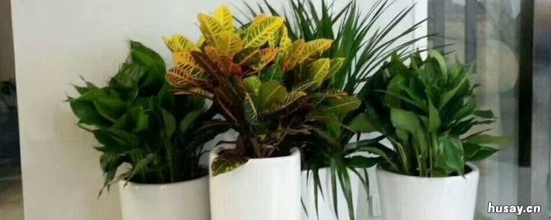 除胶剂的气味怎么去掉 如何除胶味道