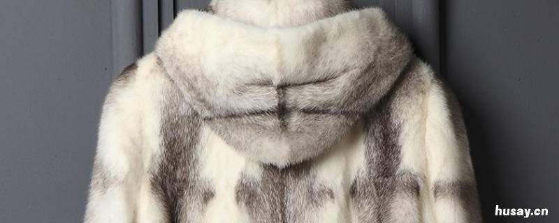月牙貂是什么 月牙貂好吗