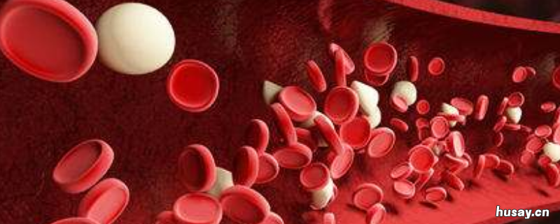 HB是啥 hb是啥意思