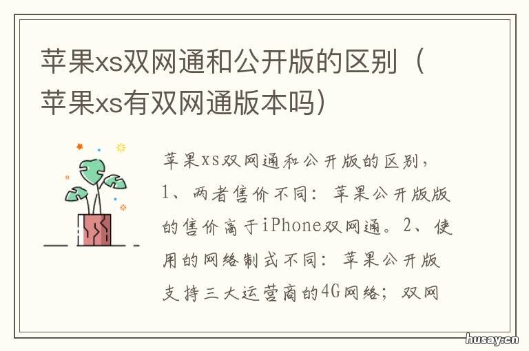 苹果xs双网通和公开版的区别