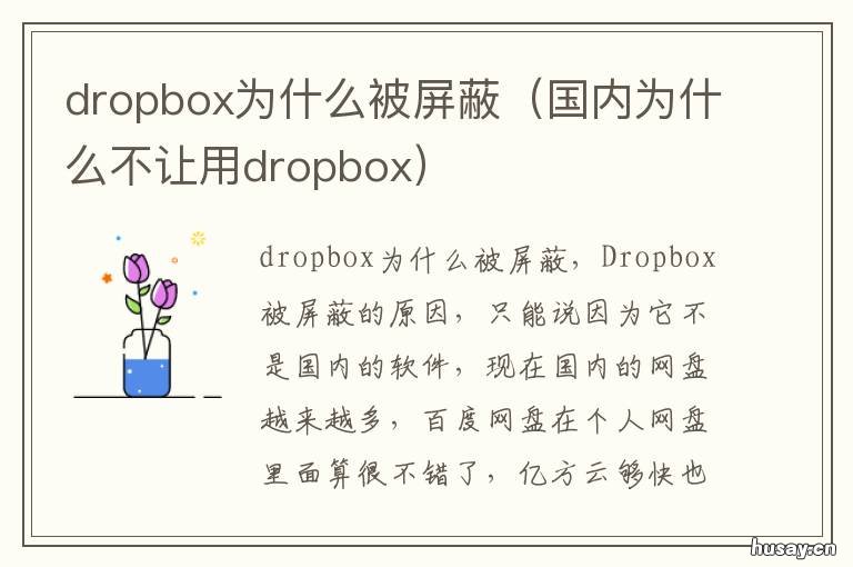 dropbox为什么被屏蔽 dropbox卸载
