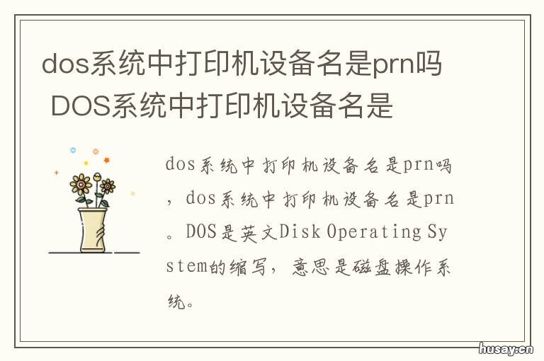 dos系统中打印机设备名是prn吗