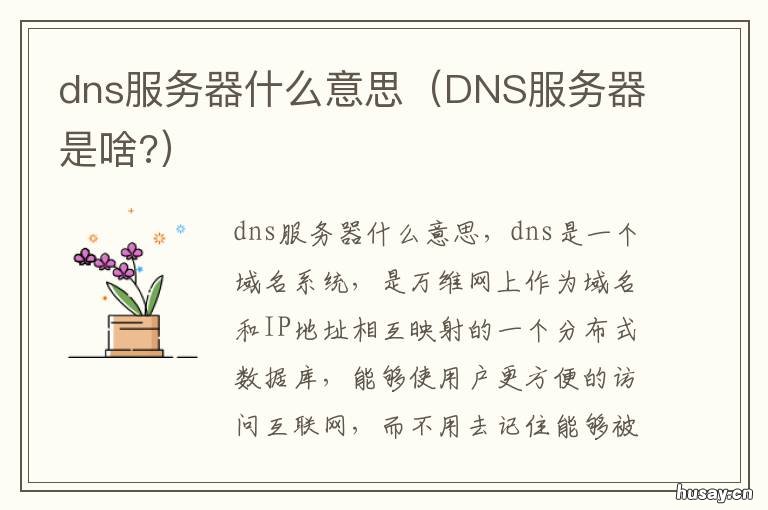dns服务器什么意思 服务器dns是什么