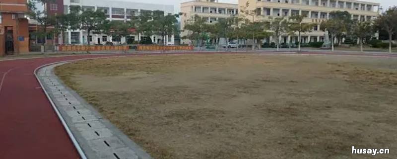 古雷第一中学算是漳浦县的吗 漳浦县古雷中心学校