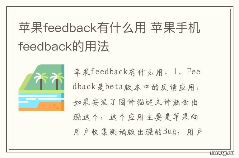 苹果feedback有什么用 苹果feedback是什么