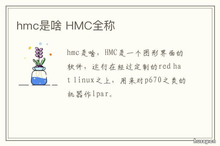 hmc是啥 hbmc是什么