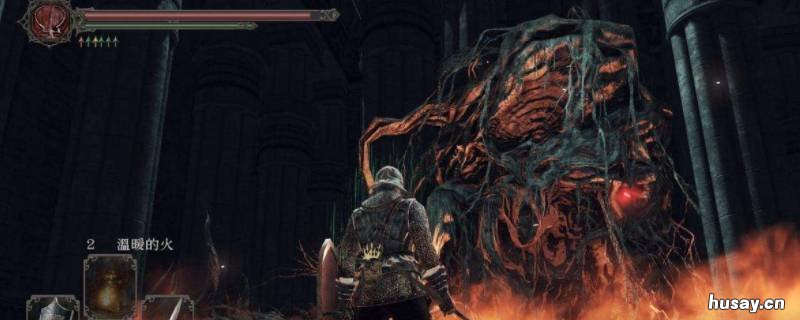 黑暗之魂2腐烂物弱什么 黑暗之魂2怪物弱点