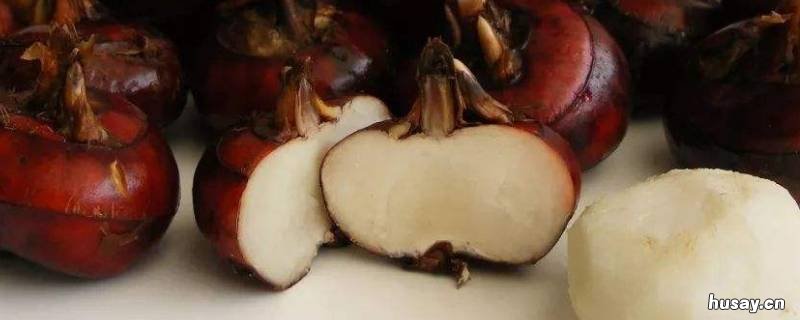 马蹄子是什么水果 马蹄是什么样的水果