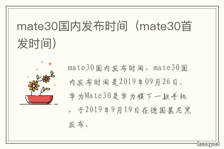 mate30国内发布时间