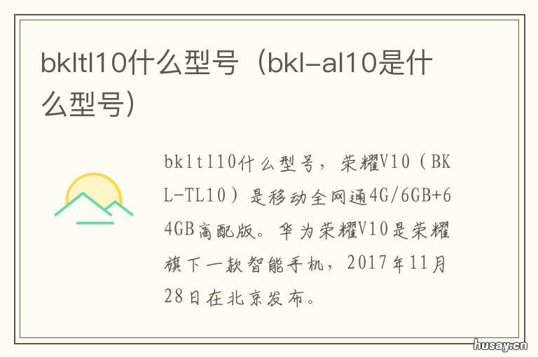 bkltl10什么型号 BKL-AL10