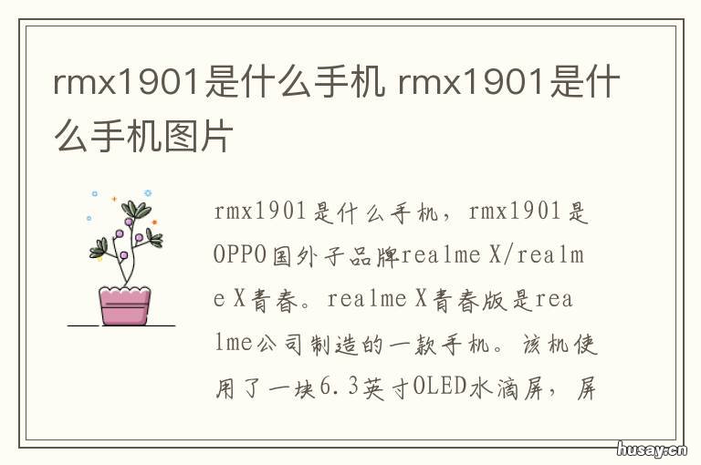 rmx1901是什么手机 rmx1921手机