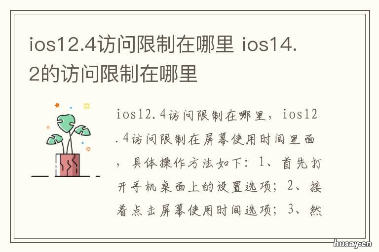 ios12.4访问限制在哪里 ios12.5访问限制在哪