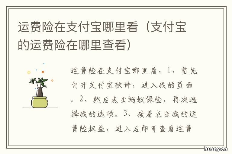 运费险在支付宝哪里看 支付宝里的运费险在哪里查看